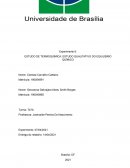 ESTUDO DE TERMOQUÍMICA: ESTUDO QUALITATIVO DO EQUILÍBRIO QUÍMICO