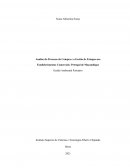 Analise do Processo de Compra e a Gestão de Estoque nos Estabelecimentos Comerciais: Petrogal de Moçambique