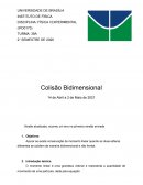 RELATORIO COLISÃO BIDIMENSIONAL