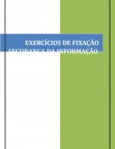 OS EXERCÍCIOS DE FIXAÇÃO SEGURANÇA DA INFORMAÇÃO