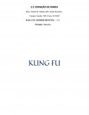 A HISTORIA DO KUNG FU
