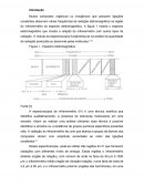 Relatório Físico Química Experimental