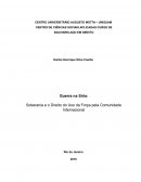 A Guerra na Síria: Soberania e o Direito do Uso da Força pela Comunidade Internacional