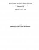 RELATÓRIO DE QUÍMICA GERAL: A eletroquímica da Pilha de Daniell e da Galvanização