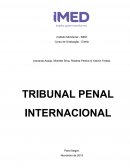 Tribunal Penal Internacional