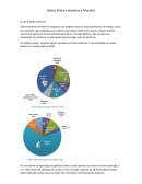 A Matriz Eletrica Brasileira e Internacional