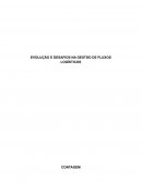 EVOLUÇÃO E DESAFIOS NA GESTÃO DE FLUXOS LOGÍSTICOS