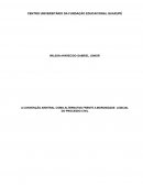 A CONVENÇÃO ARBITRAL COMO ALTERNATIVA FRENTE A MOROSIDADE JUDICIAL DO PROCESSO CIVIL