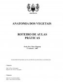 A Morfologia dos Vegetais