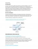 Os Princípios de Farmacologia - Rascunho - FREE David