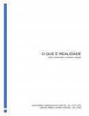 RESUMO DO LIVRO O QUE É REALIDADE