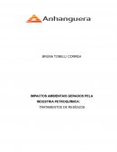 OS IMPACTOS AMBIENTAIS GERADOS PELA INDUSTRIA PETROQUÍMICA: TRATAMENTOS DE RESÍDUOS