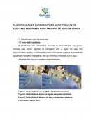 A CLASSIFICAÇÃO DE CARBOIDRATOS E QUANTIFICAÇÃO DE AÇUCARES REDUTORES NUMA AMOSTRA DE SUCO DE GOIABA