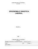 A ERGONOMIA E GINÁSTICA LABORAL