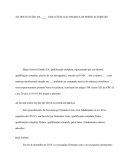 O Parecer Jurídico