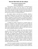 Resumo do Filme Bicho de Sete Cabeça