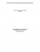 Relatório Massa, Volume e Manuseio de Vidrarias
