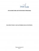 O RELATÓRIO TÉCNICO O USO DA EPIDEMIOLOGIA NA FISIOTERAPIA