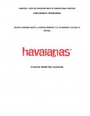 PLANO DE MARKETING HAVAINAS
