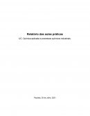 Relatório de Química Aplicada a Processos Químicos