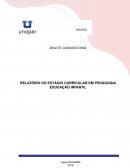 RELATÓRIO DO ESTÁGIO CURRICULAR EM PEDAGOGIA EDUCAÇÃO INFANTIL