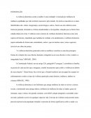 TRABALHO CONCLUSÃO DE CURSO - VIOLÊNCIA DOMÉSTICA E FAMILIAR CONTRA A MULHER