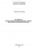 RELATÓRIO DO ESTÁGIO CURRICULAR EM PEDAGOGIA III - GESTÃO EDUCACIONAL E ESPAÇOS NÃO ESCOLAR