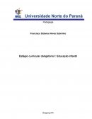 Estágio Curricular Obrigatório Iii: Gestão Educacional e Espaços Não Escolares