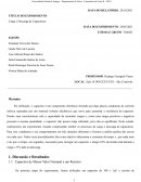 Relatório de Carga e Descarga de Capacitores