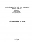 PTG ANHANGUERA 3º SEMESTRE RECURSOS HUMANOS