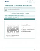 A MATRIZ DE ATIVIDADE INDIVIDUAL