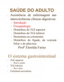 Aula Saúde do Adulto - Digestório