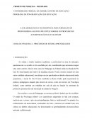 A COLABORAÇÃO DA NEUROCIÊNCIA PARA FORMAÇÃO DE PROFESSORES E AGENTES MULTIPLICADORES NO PROCESSO DE ALFABETIZAÇÃO DA ATUALIDADE