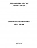A DISCIPLINA ANÁLISE EXPERIMENTAL DO COMPORTAMENTO NÍVEL OPERANTE