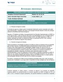 Atividade Individual Economia Empresarial