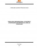 A PSICOLOGIA ORGANIZACIONAL: ATUAÇÕES E INTERVENÇÕES EM EMPRESAS DA ÁREA DE TECNOLOGIA