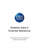 Relatório Sobre a Empresa Spartacus/ Gestão Estratégica de Pessoas