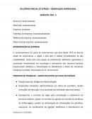 RELATÓRIO PARCIAL OBSERVAÇÃO EMPRESARIAL