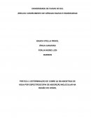 PRÁTICA 3: DETERMINAÇÃO DE COBRE (II) EM AMOSTRAS DE ÁGUA POR ESPECTROSCOPIA DE ABSORÇÃO MOLECULAR NA REGIÃO DO VISÍVEL