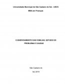 O ENDIVIDAMENTO DAS FAMILIAS: ESTUDO DO PROBLEMA E CAUSAS