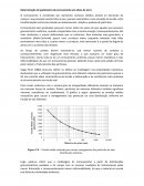 Determinação de Parâmetros de Enrocamento em Obras de Terra