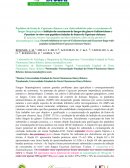 Peptídeos de Frutos de Capsicum Chinense e Seu Efeito Inibitório Sobre o Crescimento de Fungos Fitopatogênicos