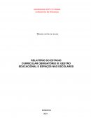 RELATÓRIO DO ESTÁGIO CURRICULAR OBRIGATÓRIO III: GESTÃO EDUCACIONAL E ESPAÇOS NÃO ESCOLARES