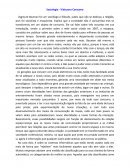 A Sociedade do Consumo