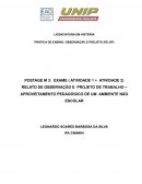 PRÁTICA DE ENSINO: OBSERVAÇÃO E PROJETO (PE:OP)