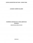 A OCORRÊNCIA AERONÁUTICA E A REGULAMENTAÇÃO INFRINGIDA