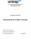 O Movimento em Meio Viscoso