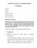 O RELATÓRIO PARCIAL DE ESTÁGIO OBSERVAÇÃO EMPRESARIAL