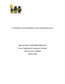 A VIOLÊNCIA NO TRANSITO E SUAS CONSEQUÊNCIAS