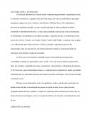 REFLEXÃO DOS CONTEÚDOS: ARTS AND CRAFTS, ART NOUVEAU E ESCOLA DE CHICAGO